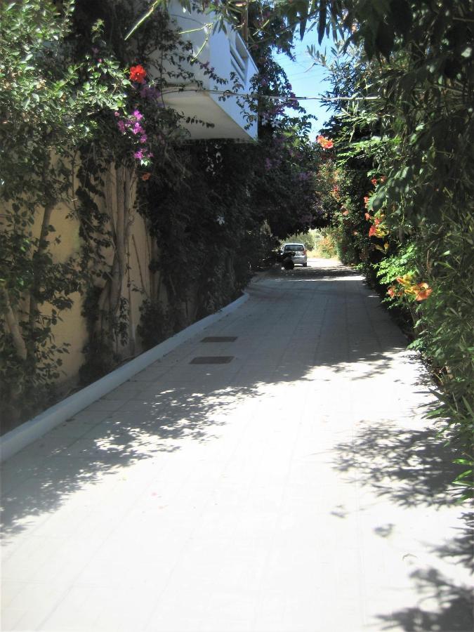 Corina Apartments Sitia  Exteriör bild
